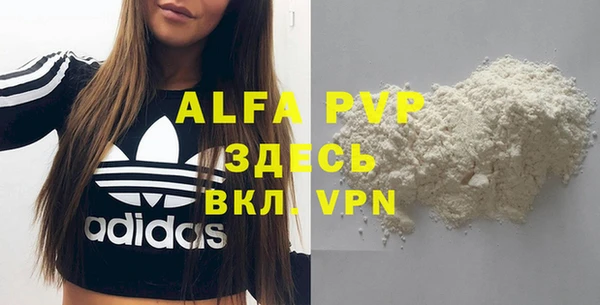 эйфоретик Арсеньев