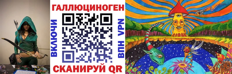 Псилоцибиновые грибы Psilocybe  дарнет шоп  Кизляр 